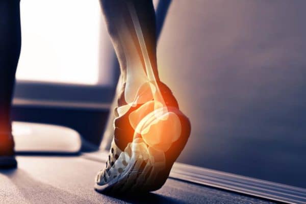 Tips to keep your bone healthy – Role of bone and muscles in healthy living